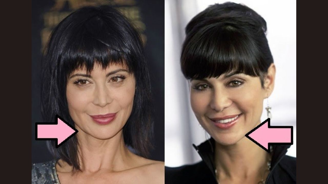Catherine Bell Plastic Surgery Before And After Her Rumored Transformation