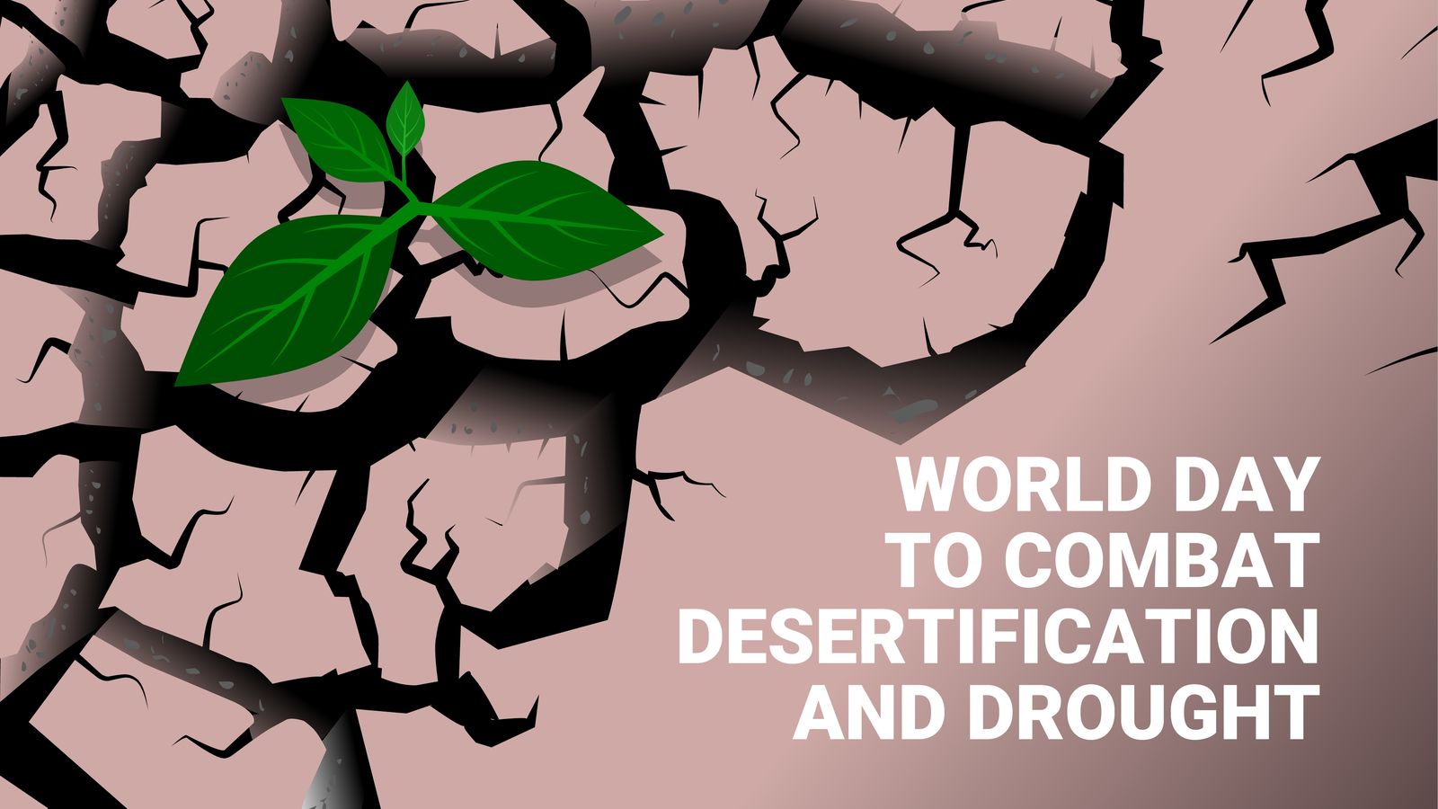 World Day to Combat Desertification and Drought 2022