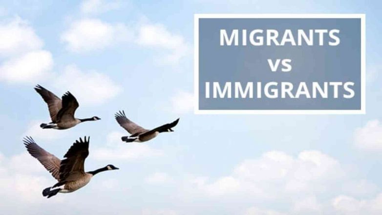 Migrant vs Immigrant: Difference between Migrant and Immigrant