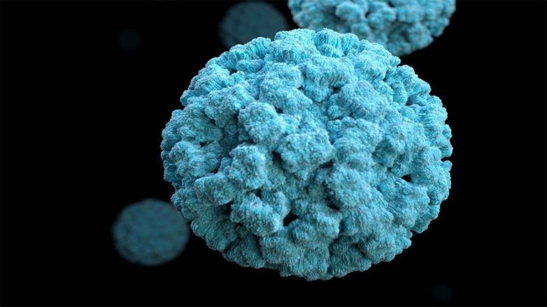 What is Norovirus?