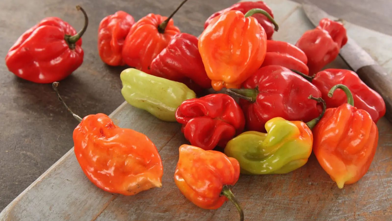 Scotch Bonnet Vs Habanero: Difference, Comparison of peppers