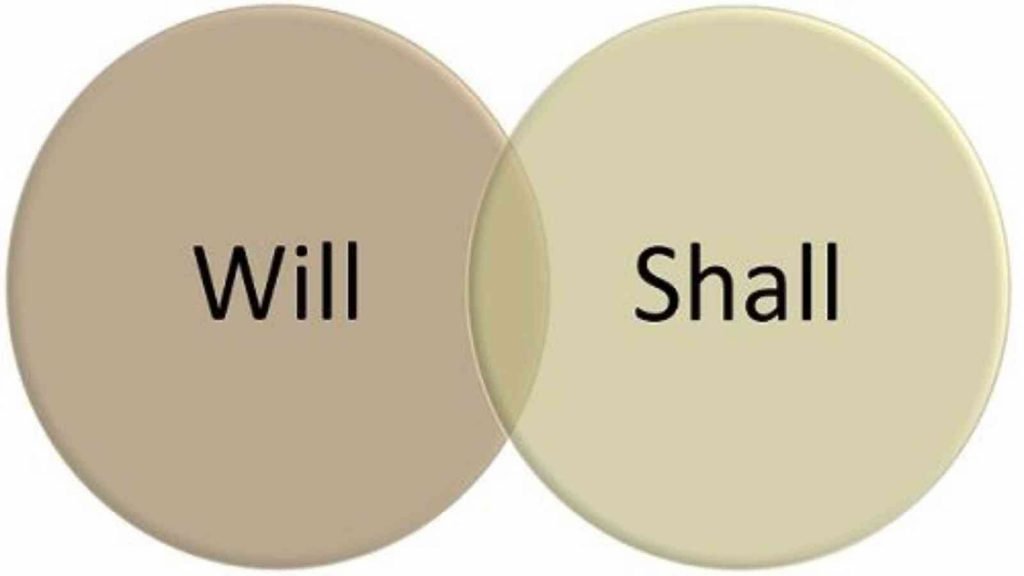 Will Vs Shall Difference Between Shall And Will