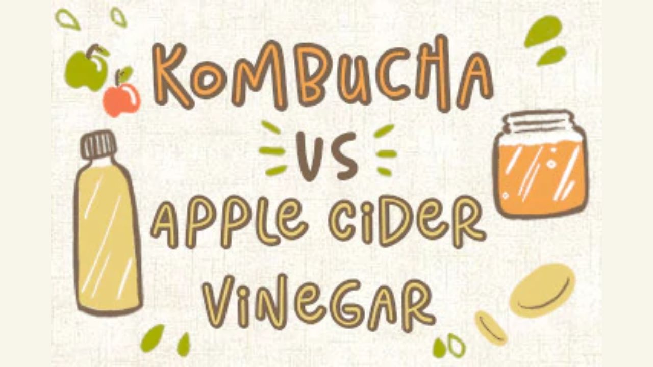 Kombucha Vs Apple Cider Vinegar: What’s The Difference?