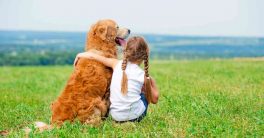 Can Spending Time with Pets Ease Your Stress?