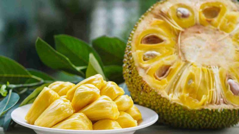 Jackfruit Day 2022: Date, Importance and Nutritional Value of Jackfruit