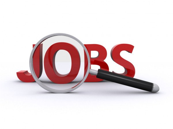 6000 vacancies in NHM, SAI, SSC and other organisations, check 6000 vacancies in NHM, SAI, SSC and other organisations, check here