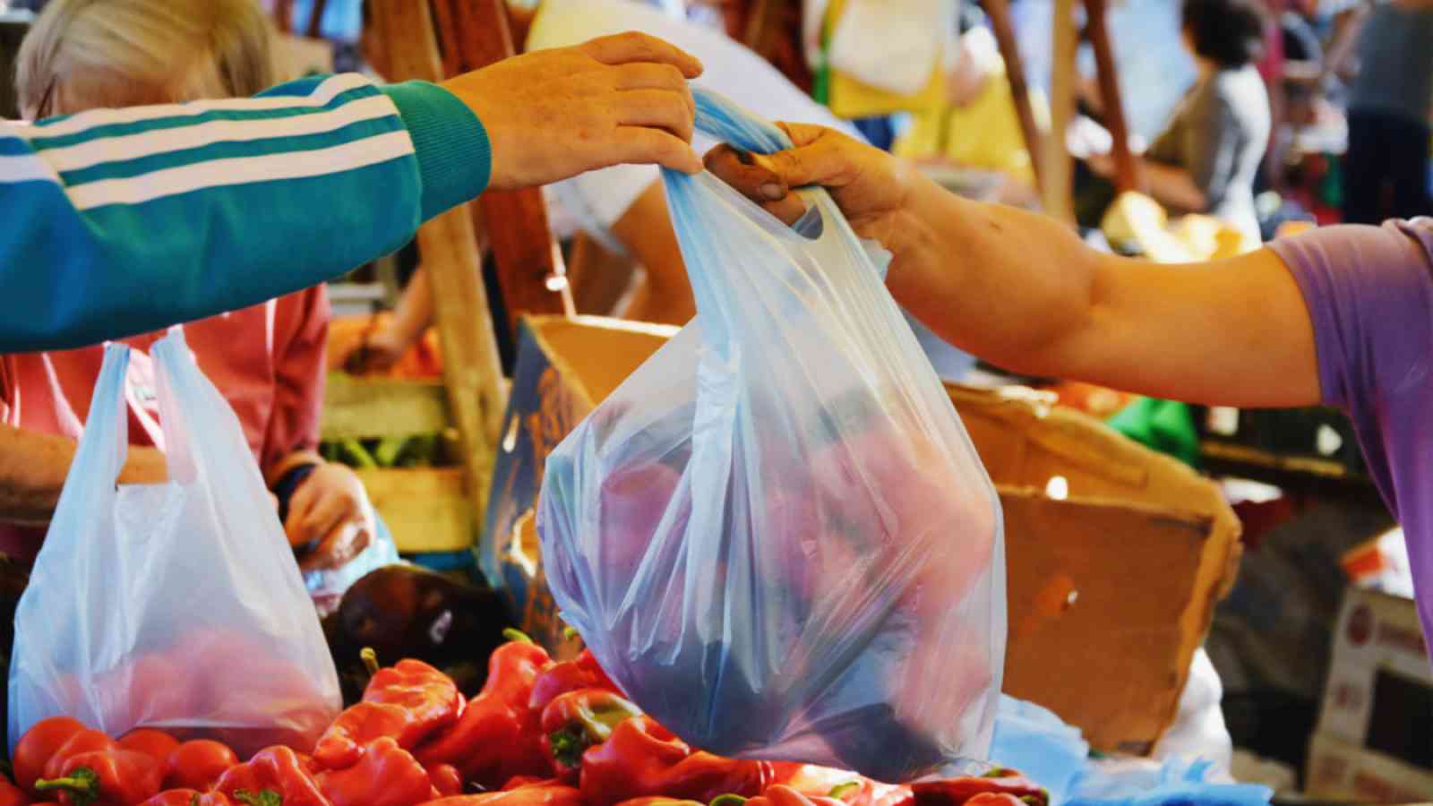 International Plastic Bag Free Day 2022: Ideas for reducing your use of plastic bags
