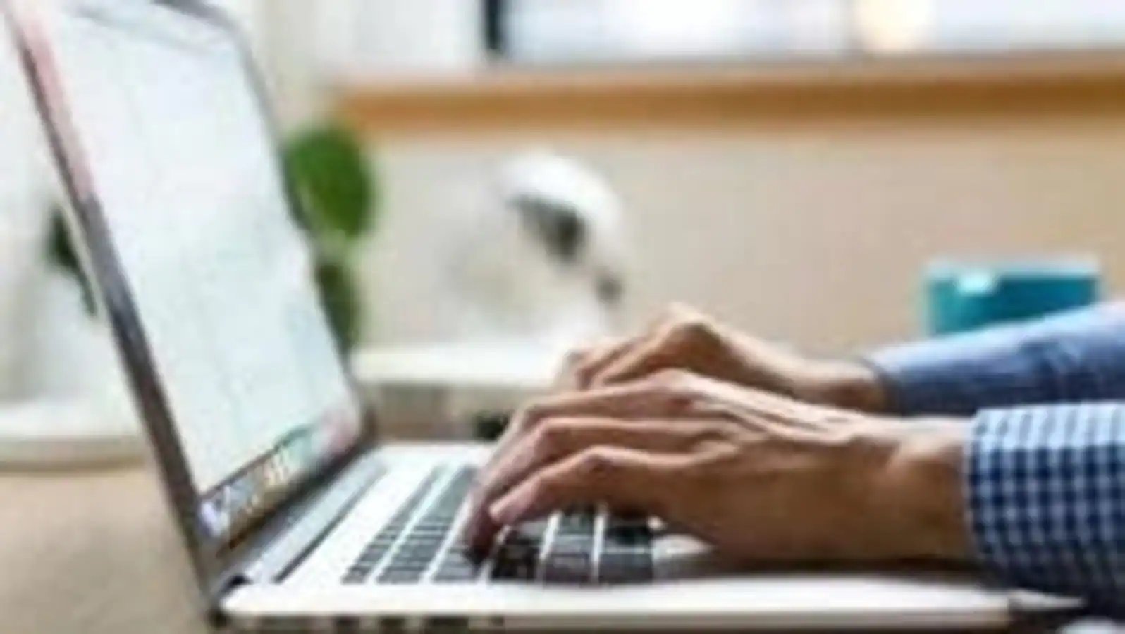 TANCET 2022 Rank List: Anna University released MBA/MCA rank list, TANCET 2022 Rank List: Anna University released MBA/MCA rank list, check here