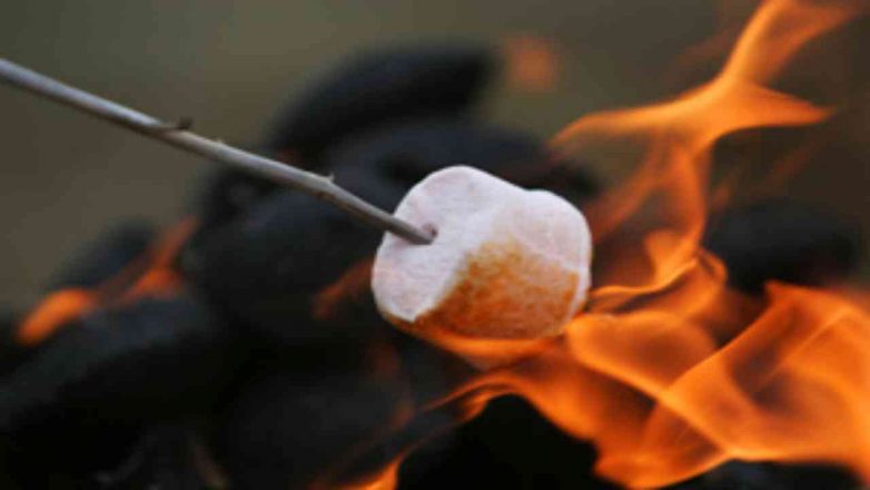 National Toasted Marshmallow Day 2022 (US): All you need to know
