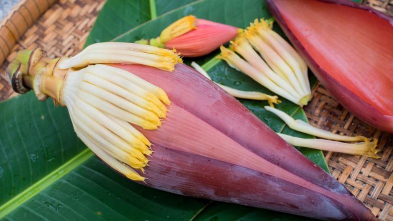5 Healthful Reasons To Start Eating Banana Flower From Today