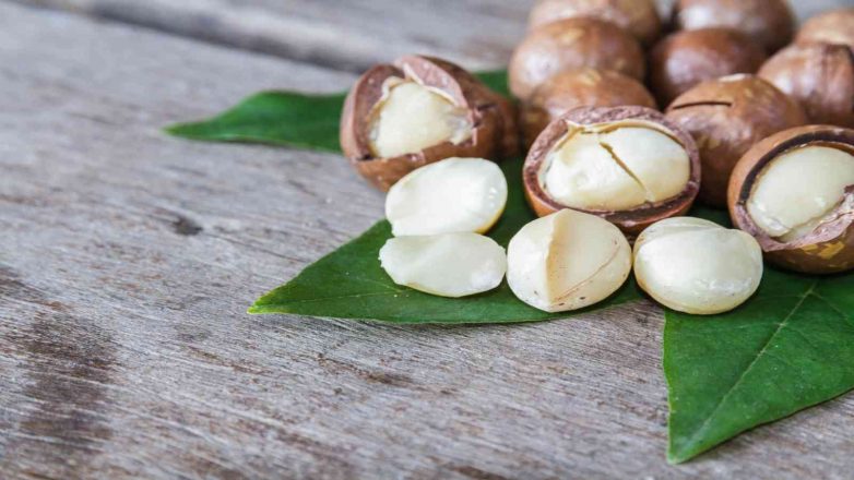 National Macadamia Nut Day – September 4, 2022: All you need to know