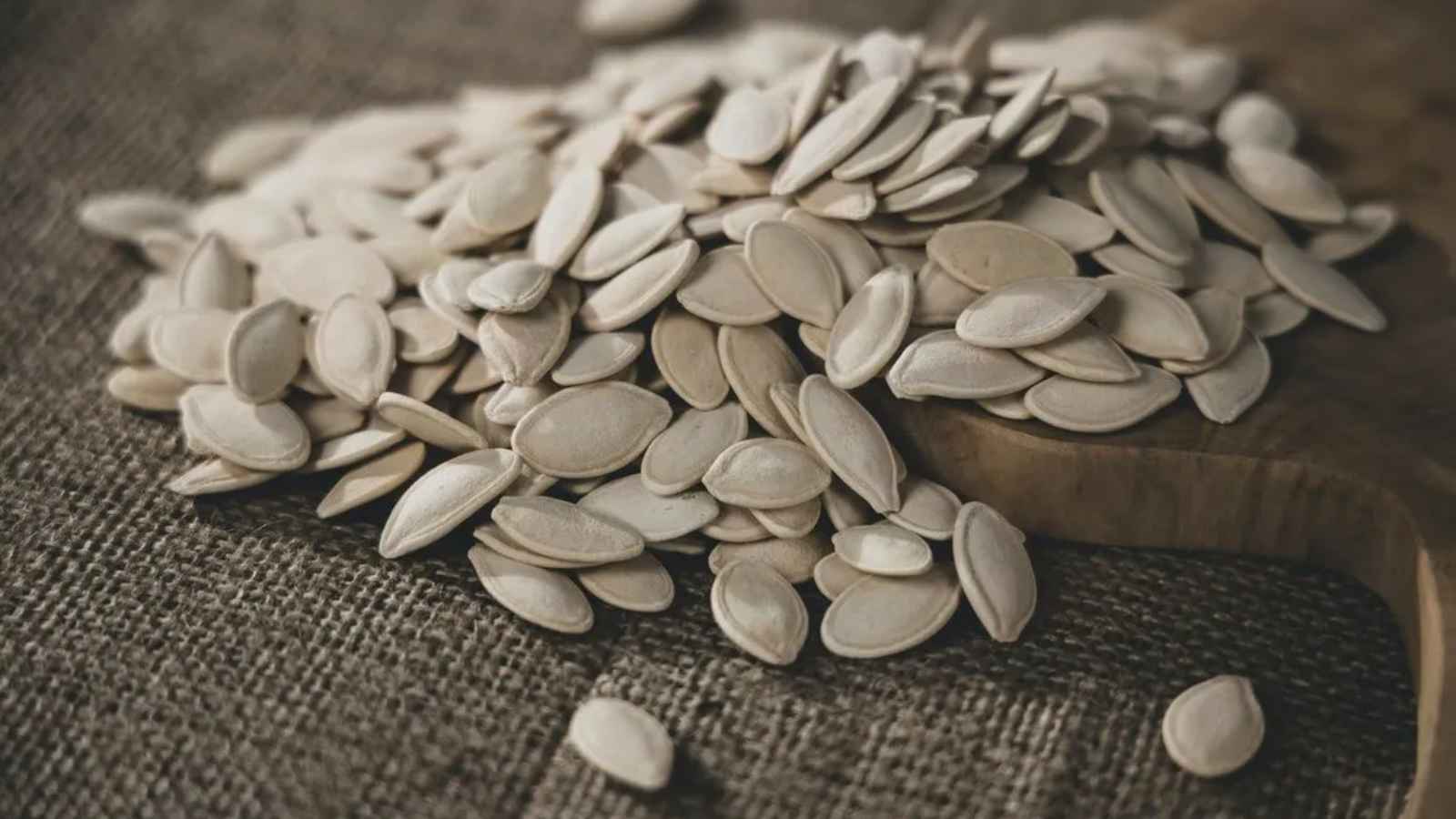 National Pumpkin Seed Day 2022 (US) Dates, History and Recipes to try