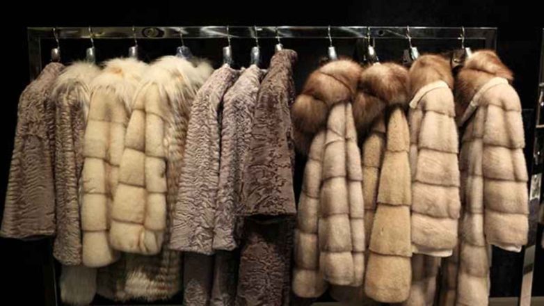 Fur-Free Friday 2022: Date, History and Significance