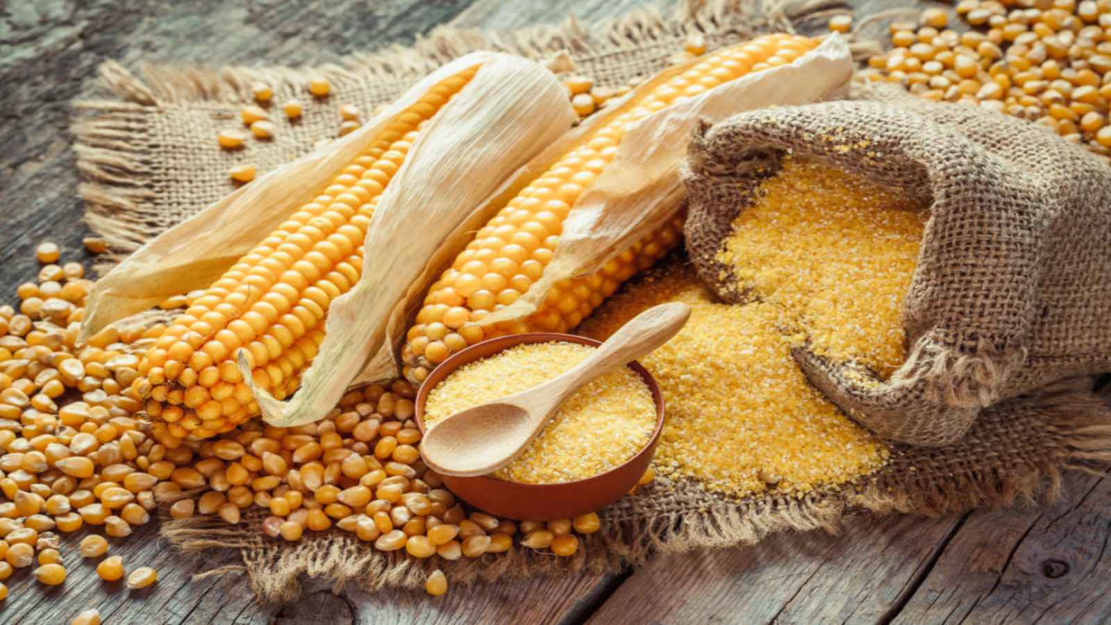 Maize Day 2022 (US): Date, History and Recipes
