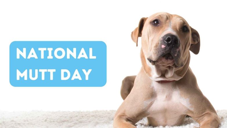 National Mutt Day 2022 (US): Date, History and Significance