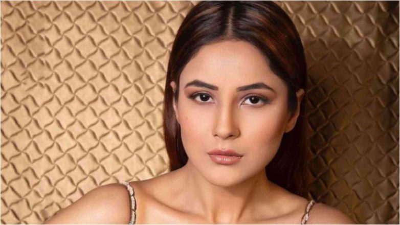 Shehnaaz Gill Biography: Age, Birthday, Net Worth, Family, Car collection
