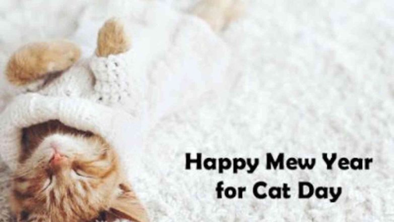 Happy Mew Year for Cats Day 2023: History, Significance and Fun Facts
