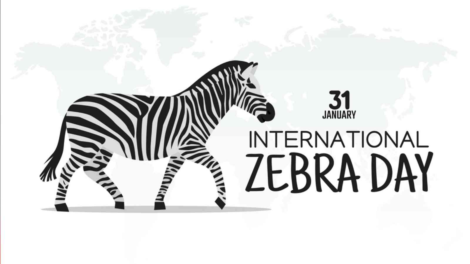 International Zebra Day 2023: Date, History and Importance
