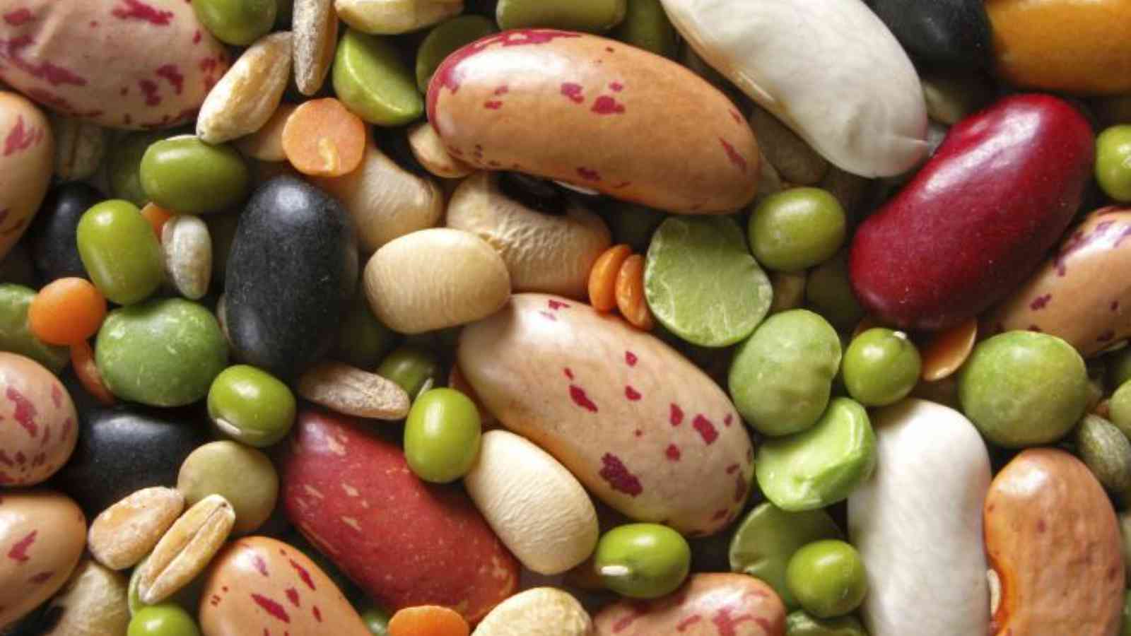 National Bean Day 2023: Date, History, Fun Facts about Beans
