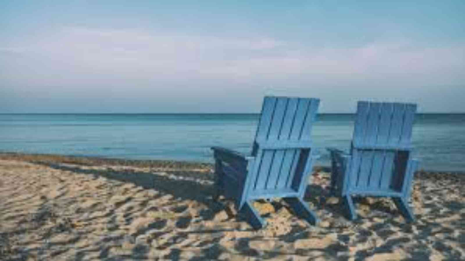 National Plan for Vacation Day National Plan for Vacation Day 2023: Date, History, facts about vacations