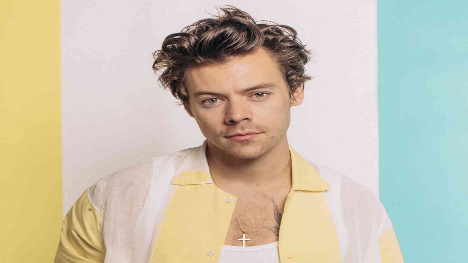 Harry Styles Biography: Age, Wiki, Birthday, Family, Net Worth