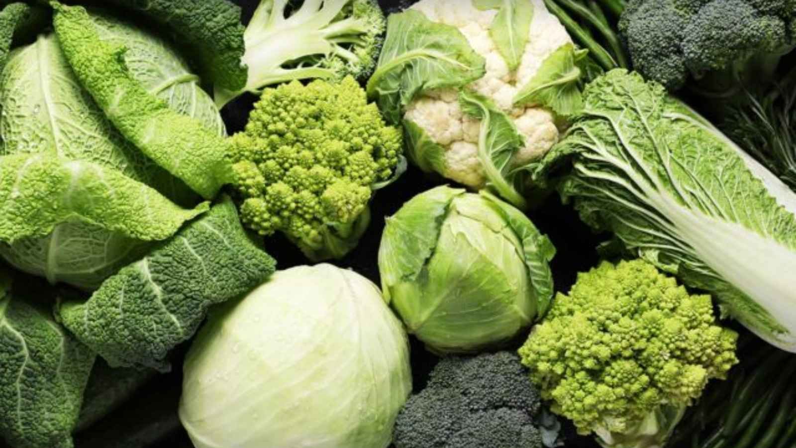 National Cabbage Day (1) National Cabbage Day 2023: Date, History, Amusing Facts
