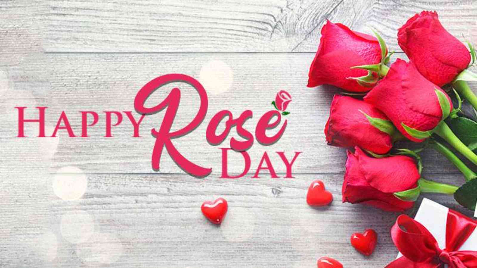 Rose Day 2023: Date, History, Activities and Facts