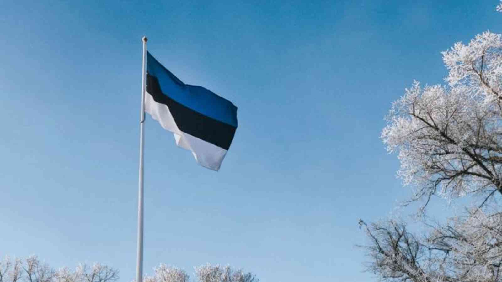Estonia Independence Day 2023: Date, History, Facts, Activities
