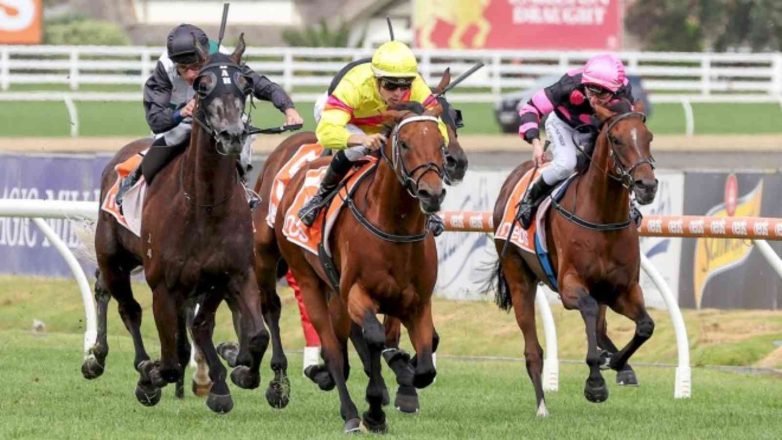 Launceston Cup 2023: Date, History, Facts, Activities