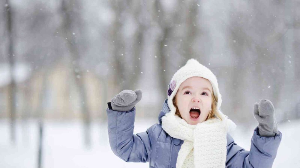 Hoodie Hoo Day 2023 Date, Background, Facts about Hoodies