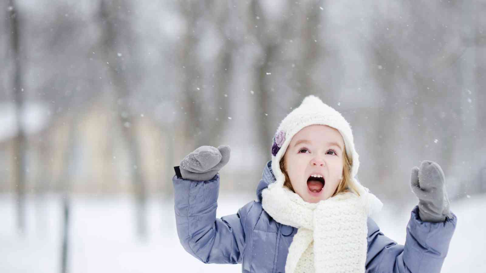 Hoodie Hoo Day 2023 Date, Background, Facts about Hoodies