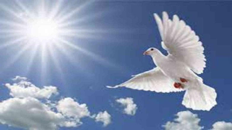 World Understanding and Peace Day 2023: Date, History, Facts, Activities