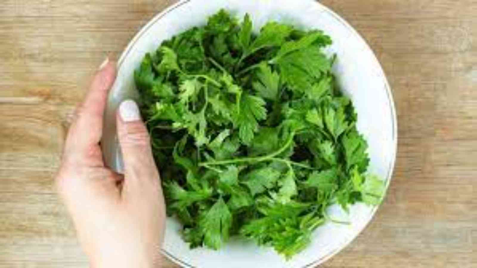I Hate Coriander Day I Hate Coriander Day 2023: Date, History, Facts, Events
