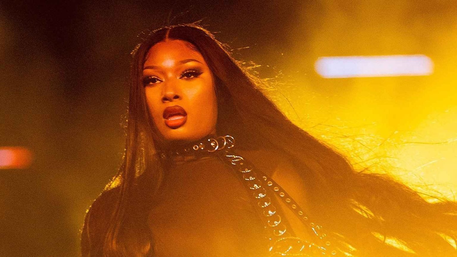 Megan Thee Stallion Biography Age, Height, Birthday, Family, Net Worth(02)