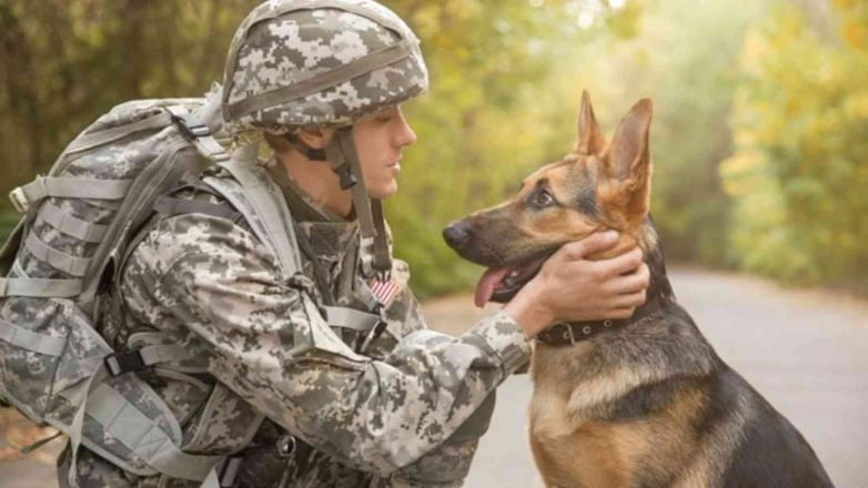 National K9 Veterans Day 2023: Date, History, Facts about Military Dogs