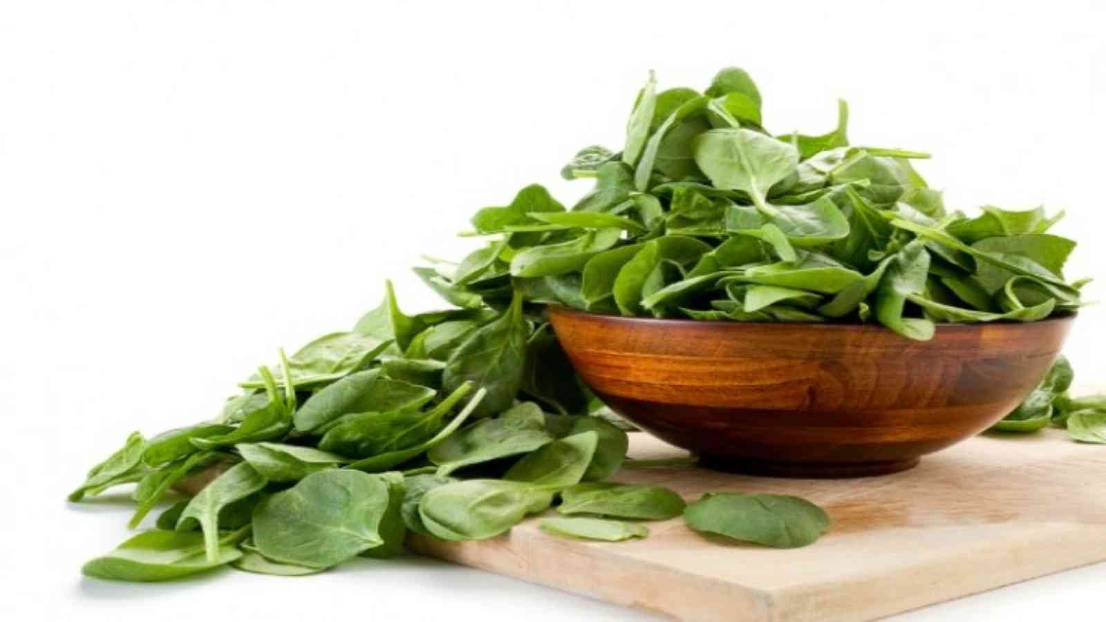 National Spinach Day National Spinach Day 2023: Date, History, Activities