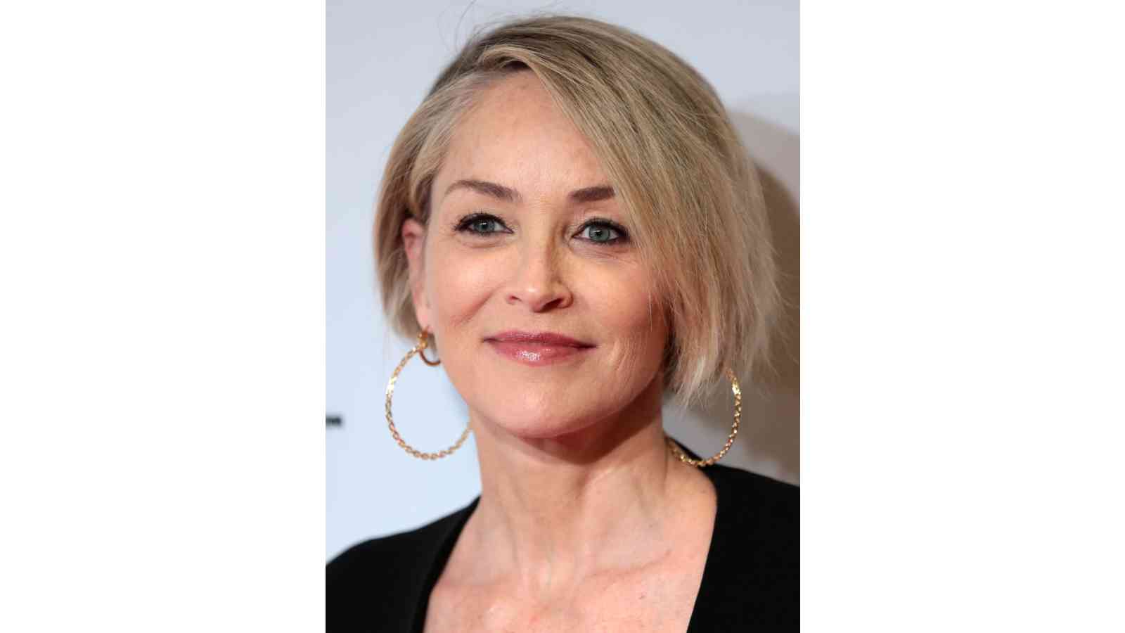 Sharon stone biography age height birthday family net worth