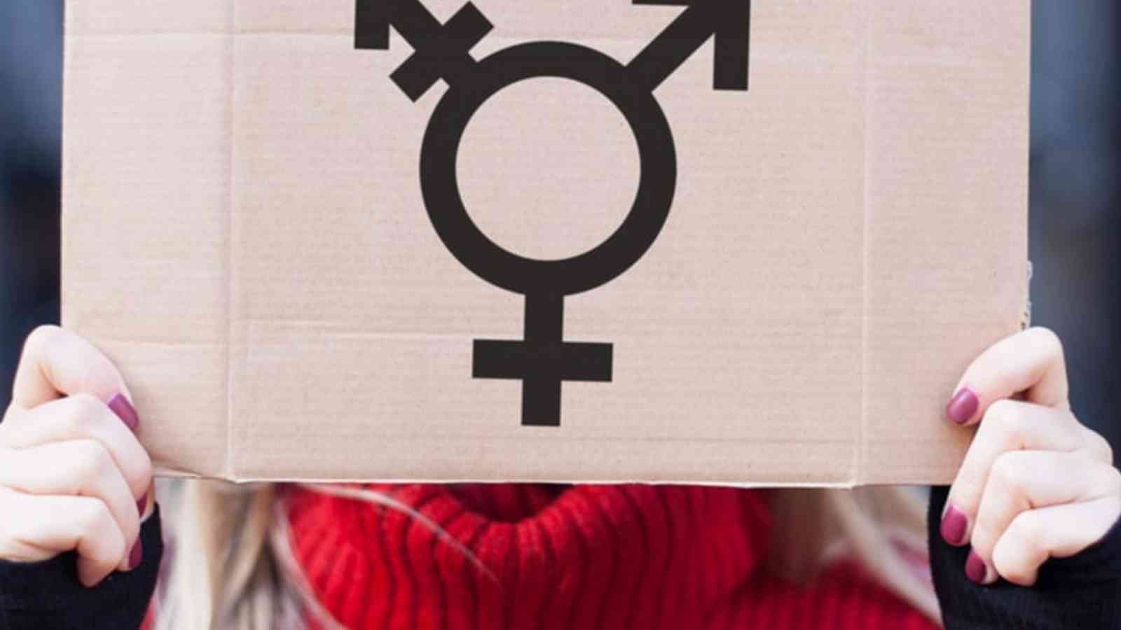 Transgender Day of Visibility Transgender Day of Visibility 2023: Date, History, Facts about Transgender