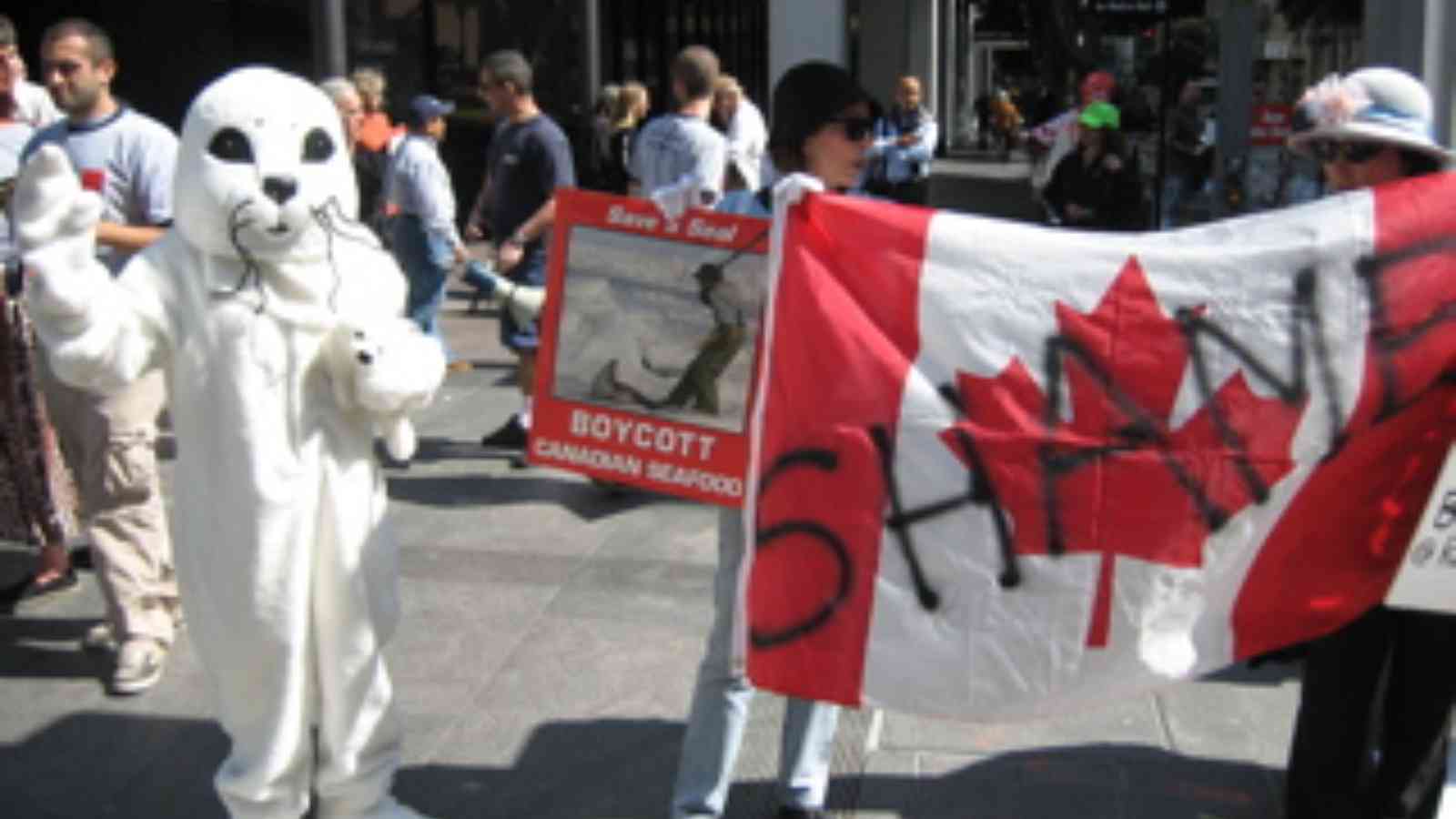 International Day of Action Against Canadian Seal Slaughter 2023: Date, History, Facts