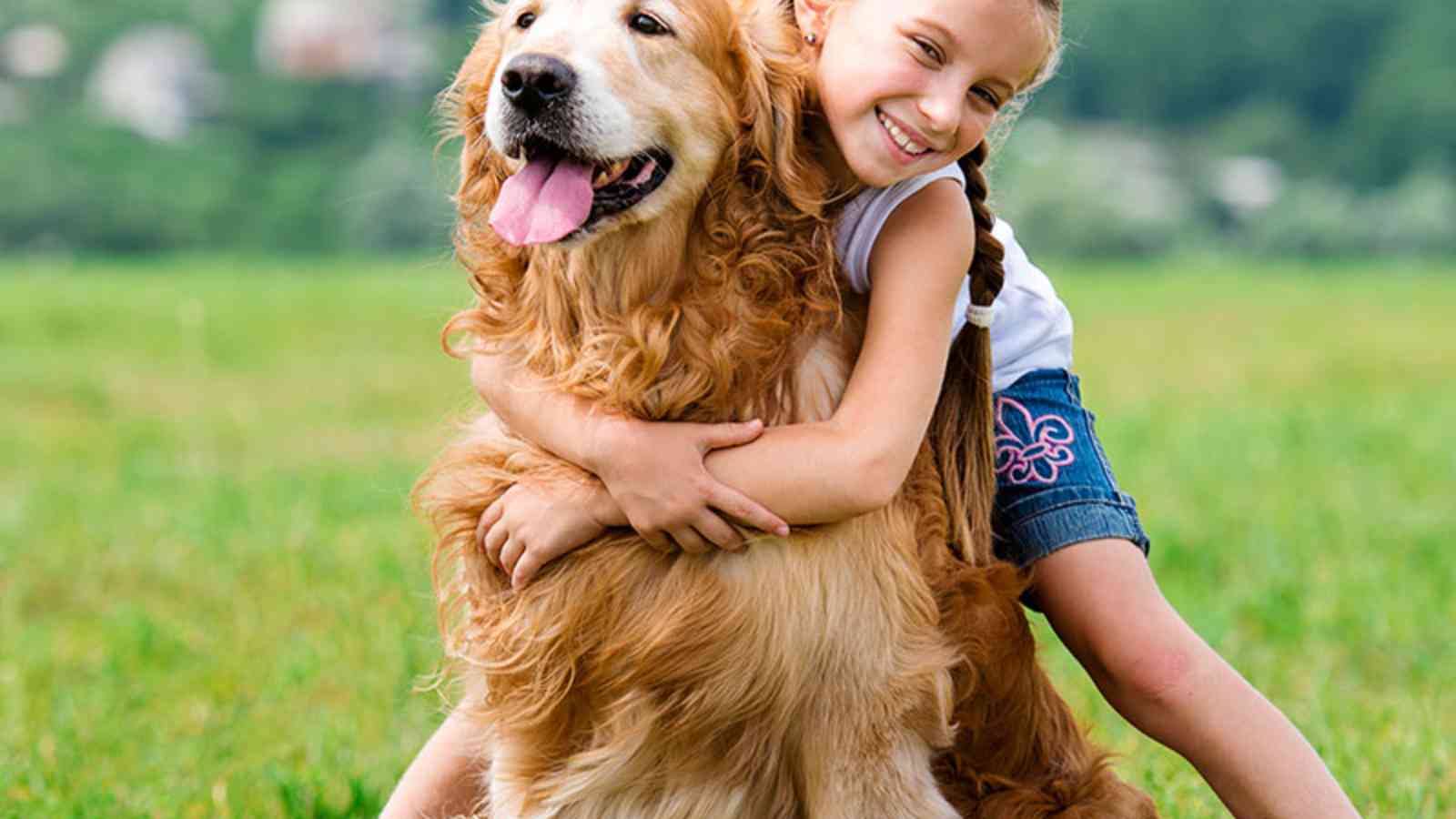 National Hug Your Dog Day 2023: Date, History, Activities
