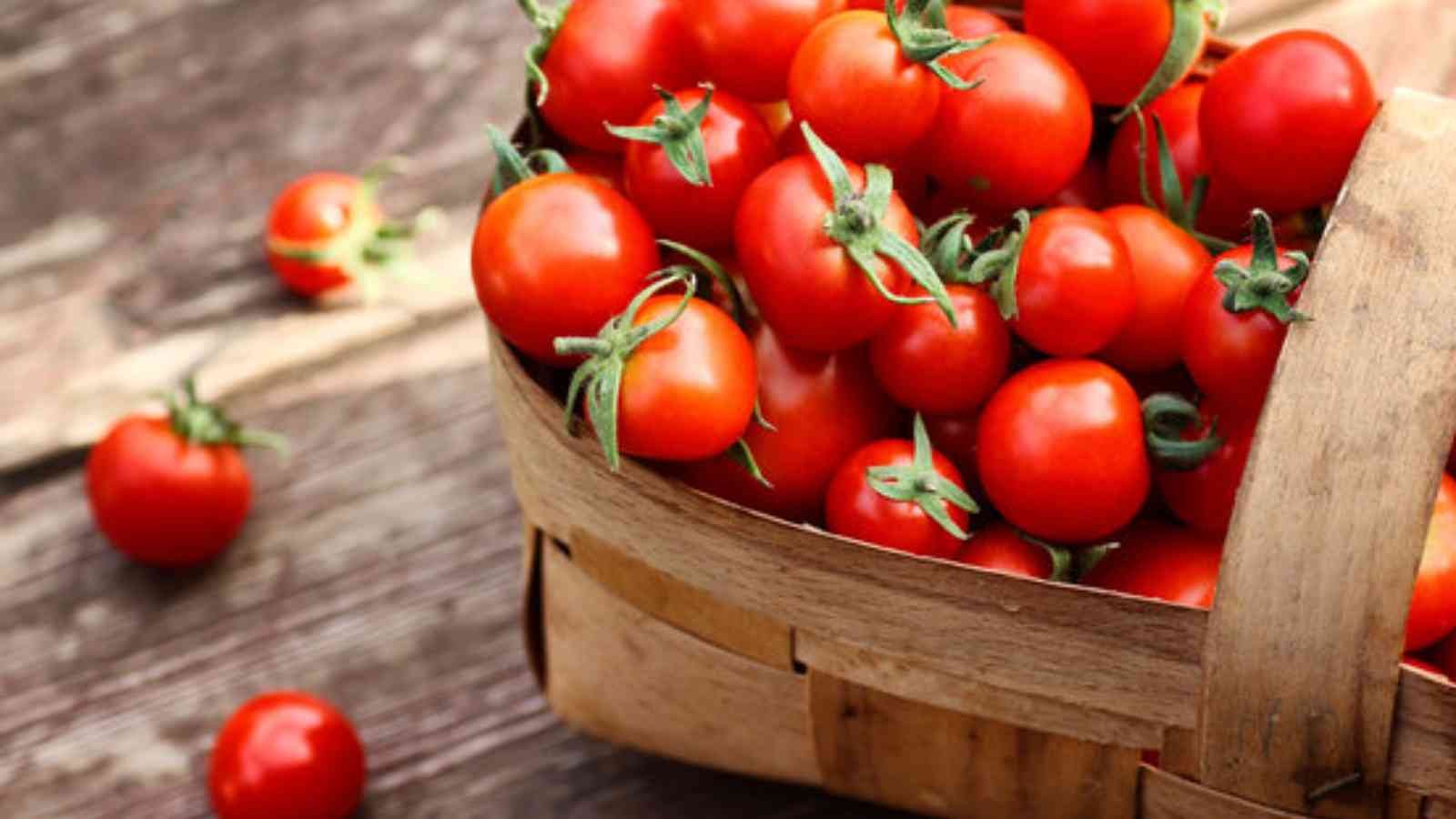 Fresh Tomato Day Fresh Tomato Day 2023: Date, History, Facts, Activities