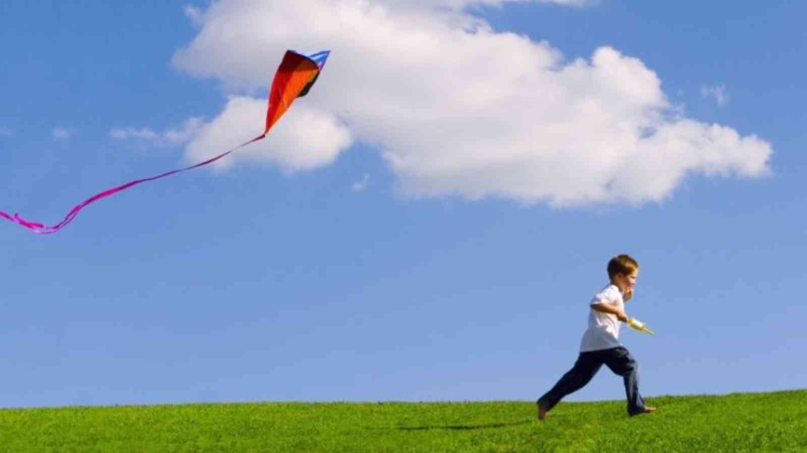 Go Fly a Kite Day 2023: Date, History, Facts, Activities