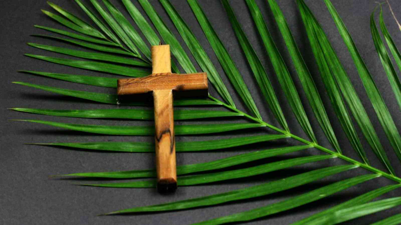 Palm Sunday 2023 Date, History, Facts about The Palm