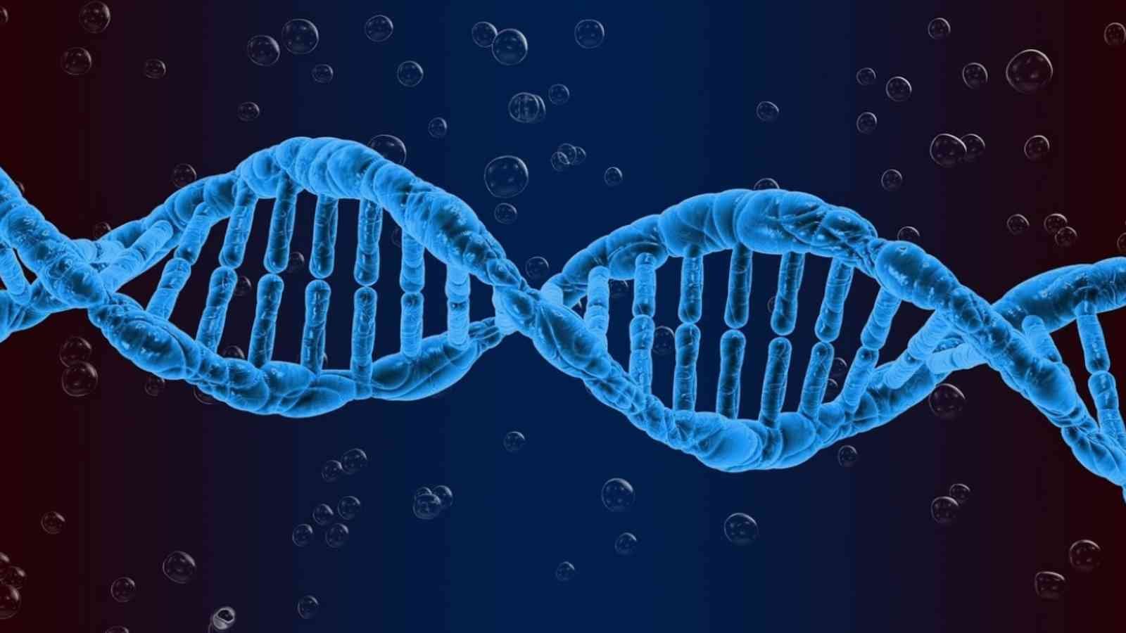 National DNA Day National DNA Day 2023: Date, History, How to Participate
