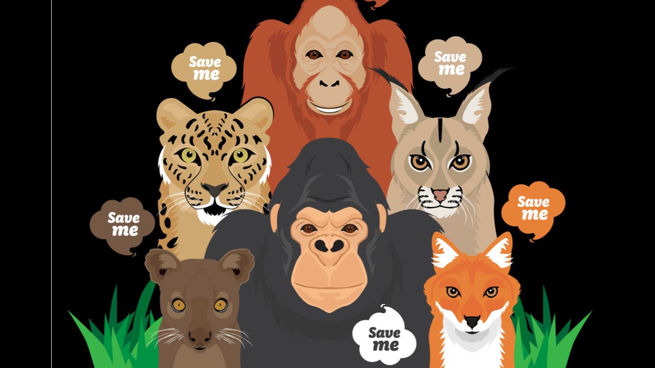 Endangered Species Day Greetings, Quotes, Slogans