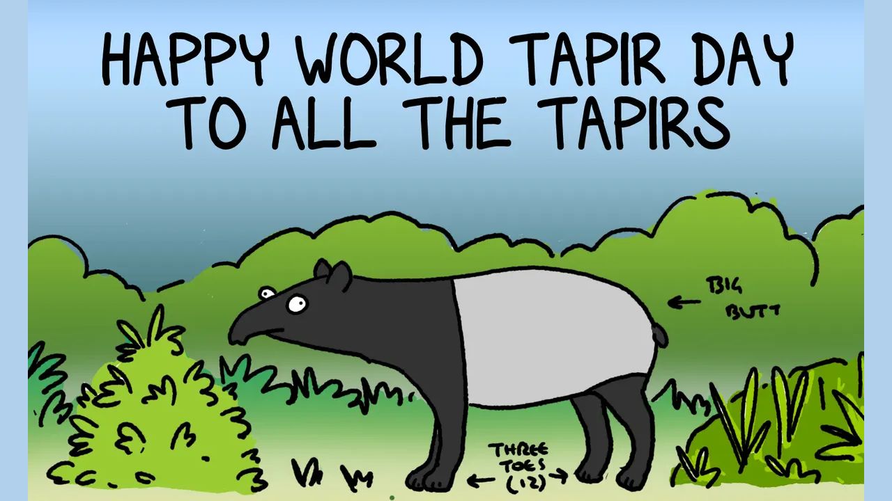 Happy World Tapir Day