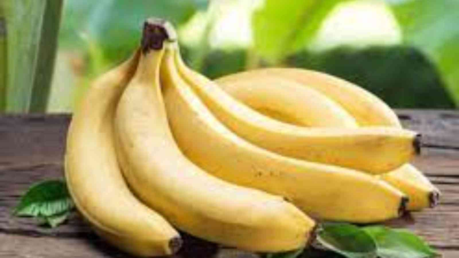 National Banana Day 2023: Date, History, Facts about Bananas