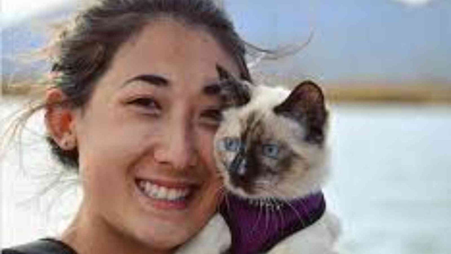 National Cat Lady Day 2023 Date, History, Facts, Activities