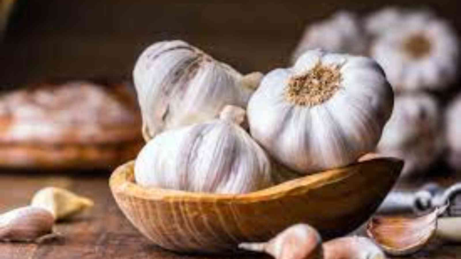 National Garlic Day 2023: Date, History, Activities