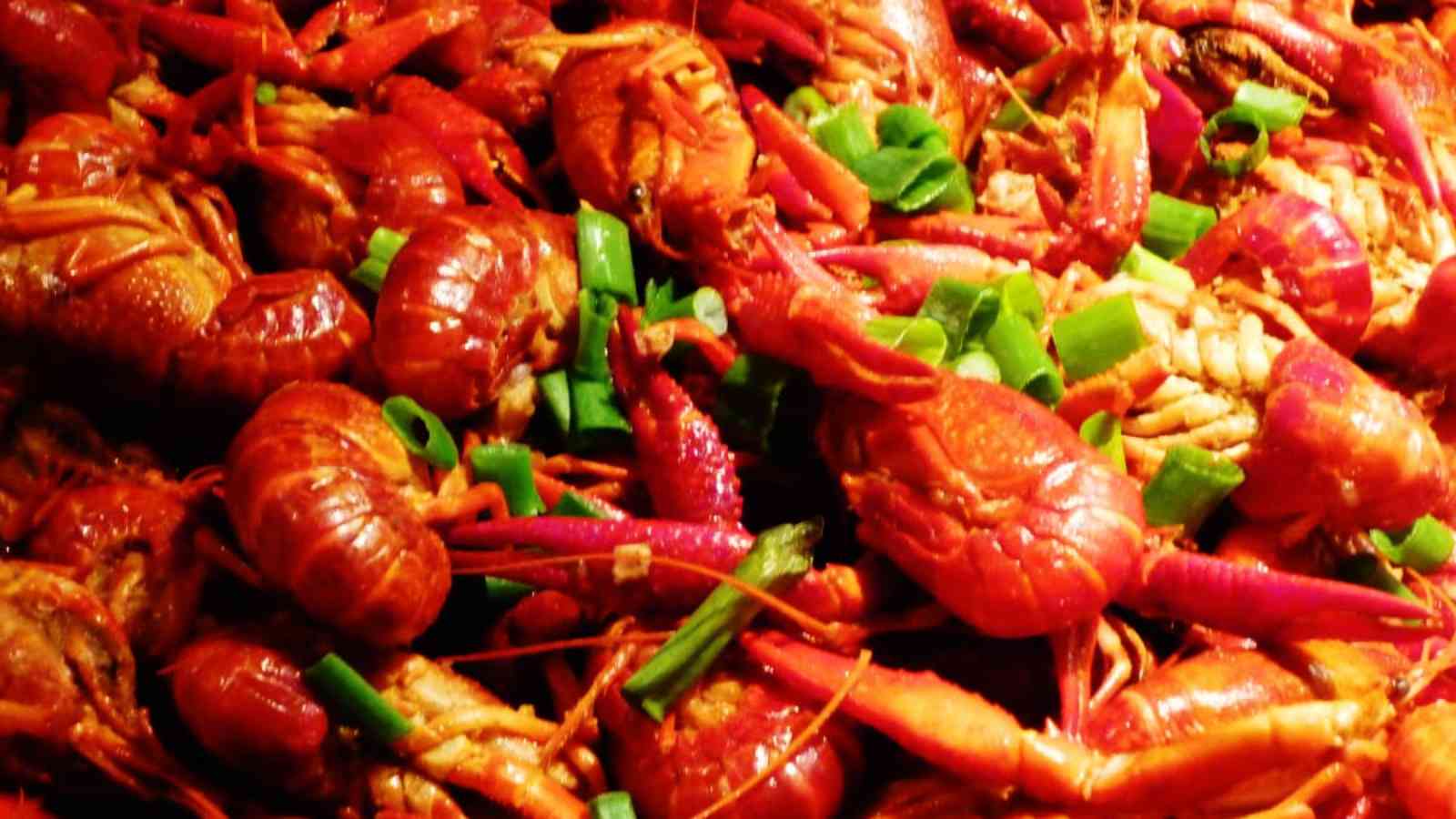 National Crawfish Day 2023: Date, History, Facts, Activities
